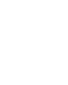 paking - logo
